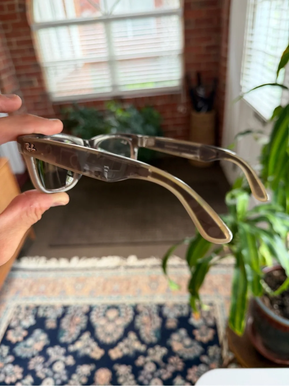 Ray-Ban about ray